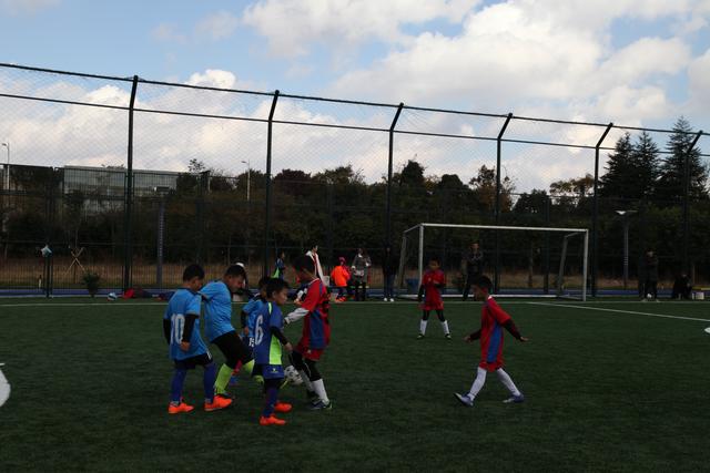 预计司法机构本周五对奥尔莫注册问题做出裁决